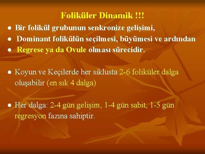 Foliküler Dinamik !!! ● ● ● Bir folikül grubunun senkronize gelişimi, Dominant folikülün seçilmesi,