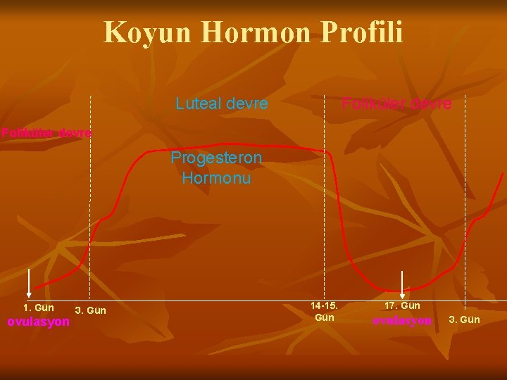 Koyun Hormon Profili Luteal devre Foliküler devre Progesteron Hormonu 1. Gün ovulasyon 3. Gün