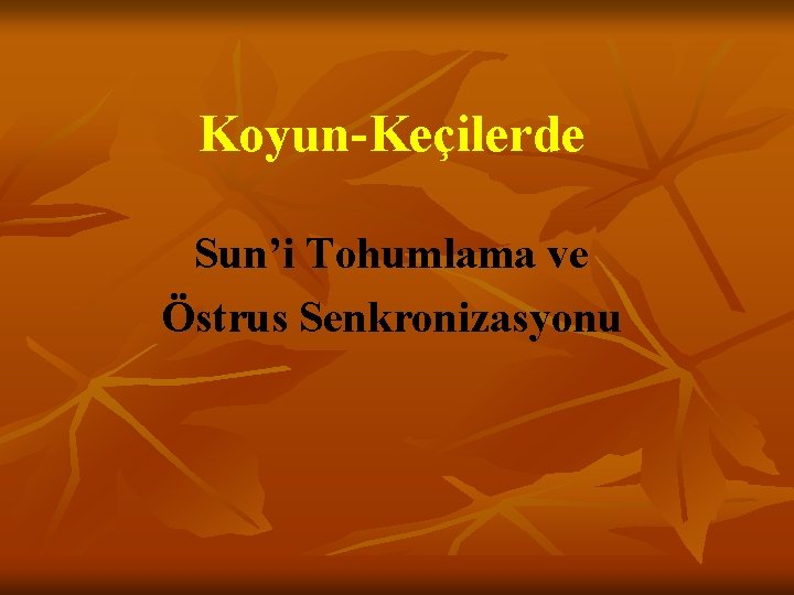 Koyun-Keçilerde Sun’i Tohumlama ve Östrus Senkronizasyonu 