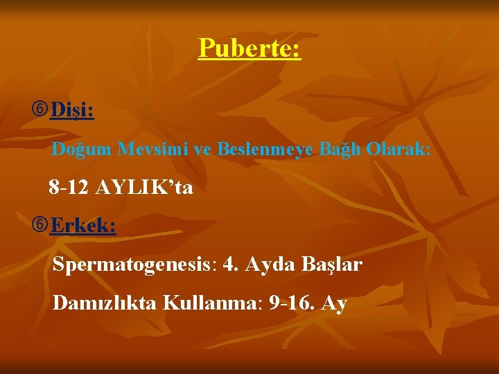 Puberte: Dişi: Doğum Mevsimi ve Beslenmeye Bağlı Olarak: 8 -12 AYLIK’ta Erkek: Spermatogenesis: 4.