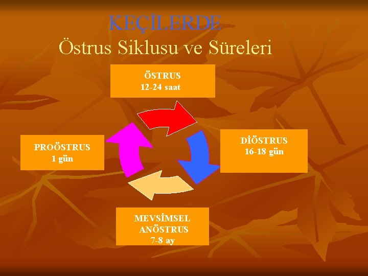 KEÇİLERDE Östrus Siklusu ve Süreleri ÖSTRUS 12 -24 saat DİÖSTRUS 16 -18 gün PROÖSTRUS