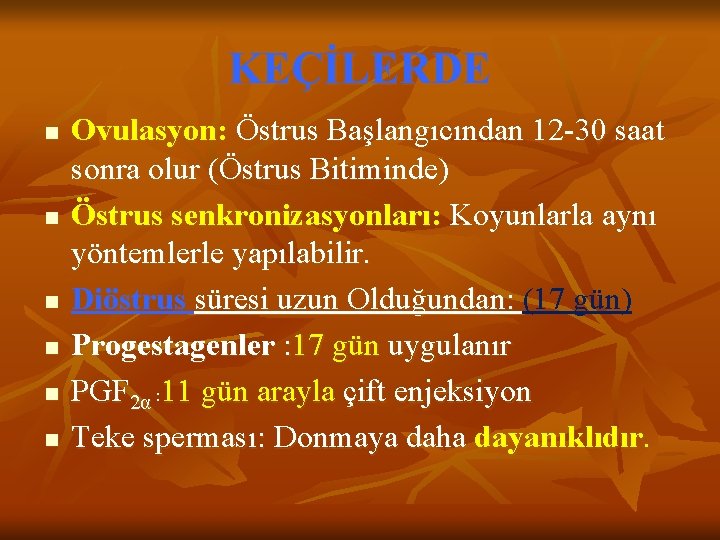 KEÇİLERDE n n n Ovulasyon: Östrus Başlangıcından 12 -30 saat sonra olur (Östrus Bitiminde)