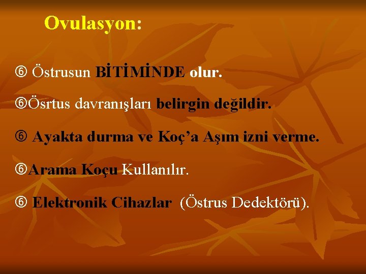 Ovulasyon: Östrusun BİTİMİNDE olur. Ösrtus davranışları belirgin değildir. Ayakta durma ve Koç’a Aşım izni