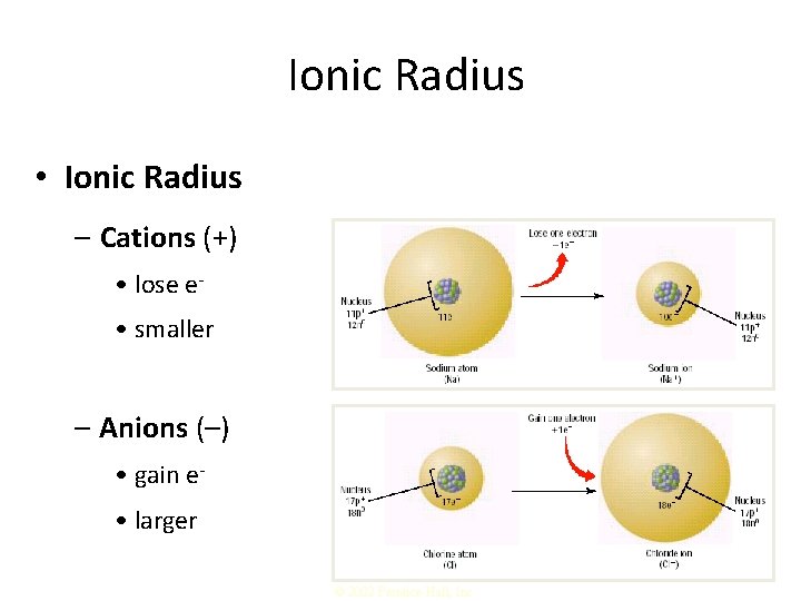 Ionic Radius • Ionic Radius – Cations (+) • lose e • smaller –