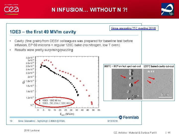 N INFUSION… WITHOUT N ? ! [Anna grasselino TTC meeting 2018] 2018 Lectures CZ.
