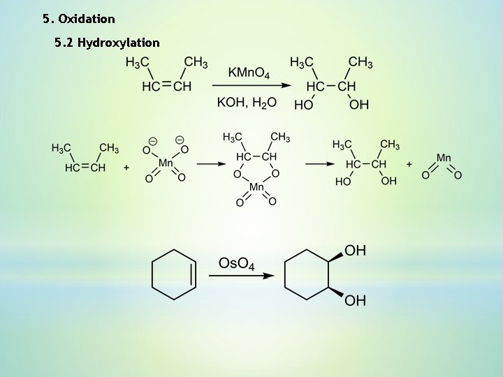 5. Oxidation 5. 2 Hydroxylation 5. Oxidation 5. 2 Hydroxylation
