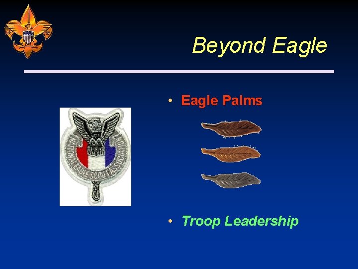 Beyond Eagle • Eagle Palms • Troop Leadership 