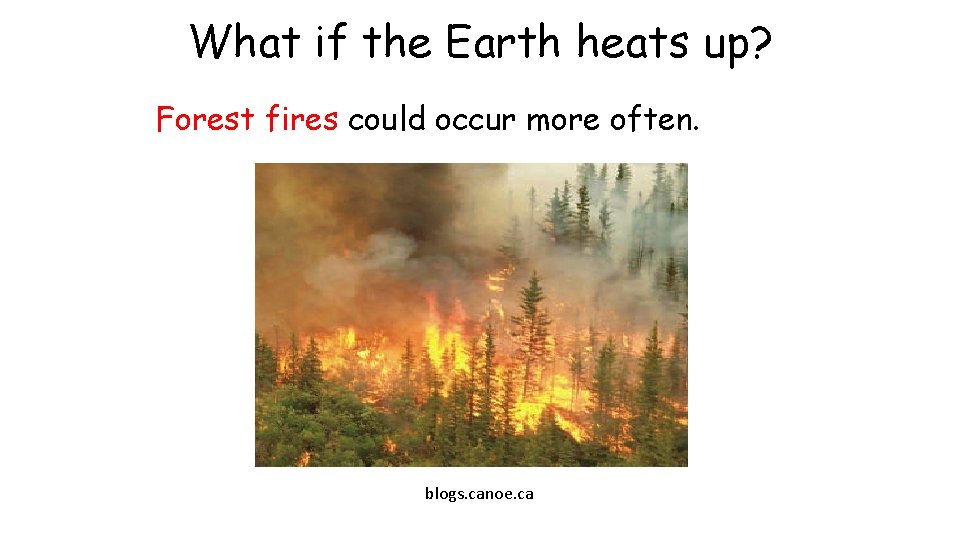 What if the Earth heats up? Forest fires could occur more often. blogs. canoe. What if the Earth heats up? Forest fires could occur more often. blogs. canoe.