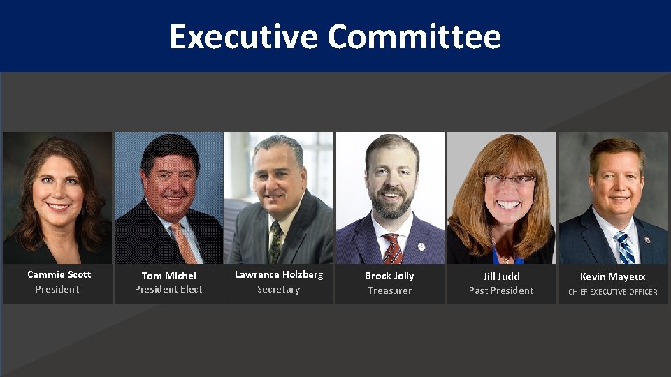 Executive Committee Cammie Scott President Tom Michel President Elect Lawrence Holzberg Secretary Brock Jolly