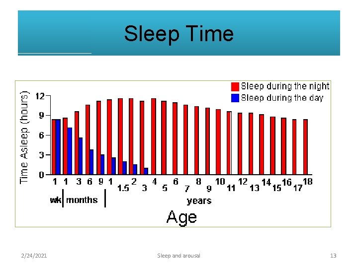Sleep Time 2/24/2021 Sleep and arousal 13 