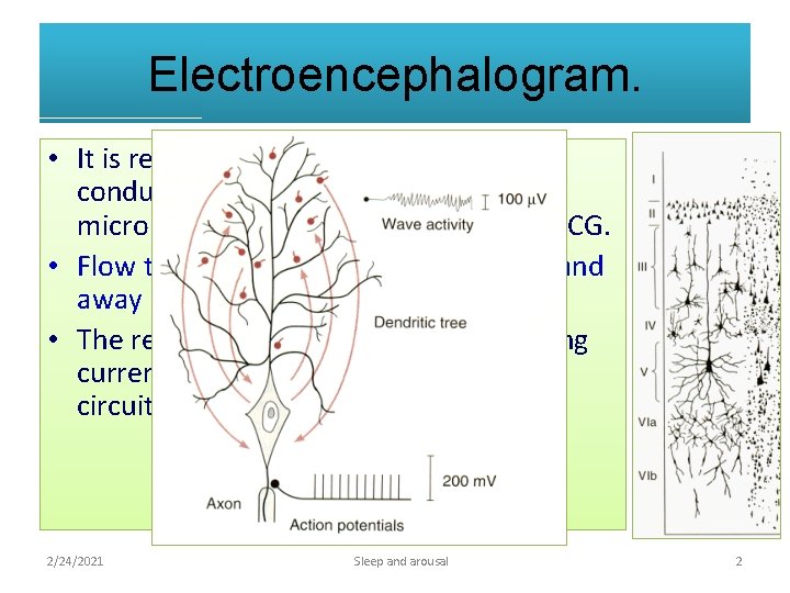Electroencephalogram. • It is record of potentials in volume conductor as ECG. The changes
