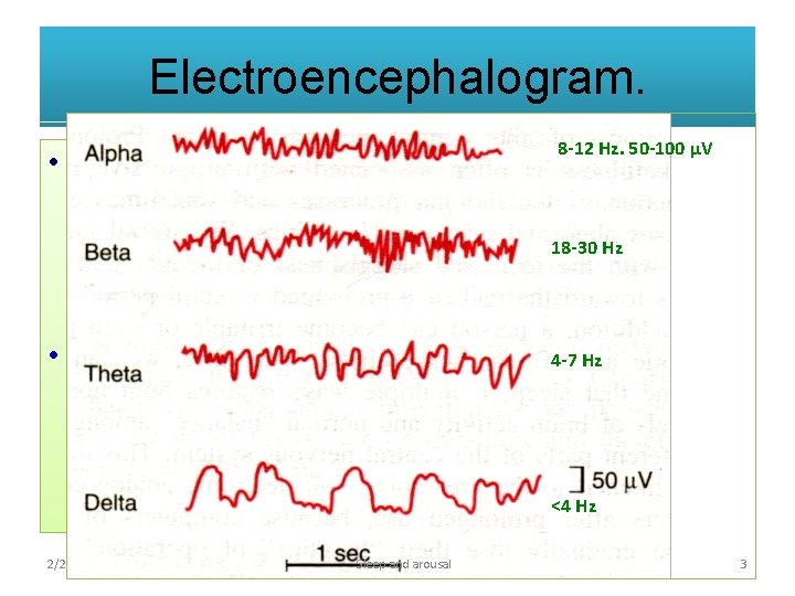 Electroencephalogram. • Record of variations in the brain potentials recorded with electrodes on the