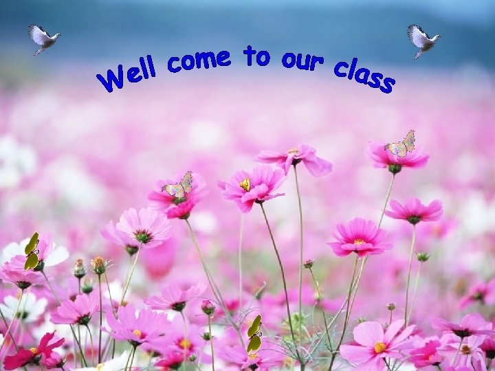 Good Afternoon Everybody WELl COME TO OUR CLASS 