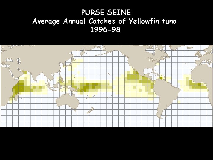 PURSE SEINE Average Annual Catches of Yellowfin tuna 1996 -98 