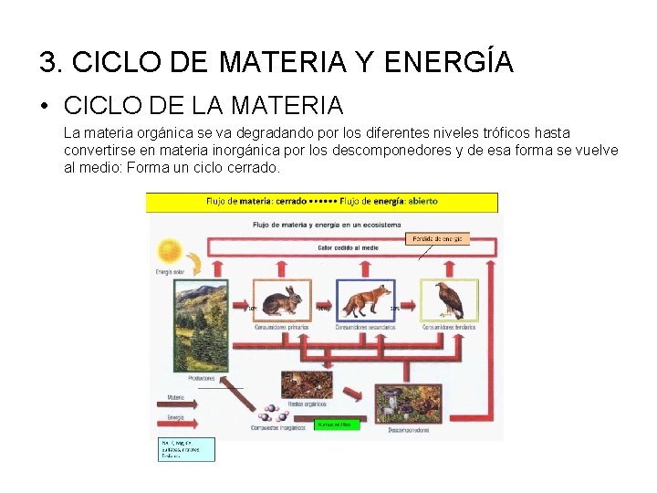 3. CICLO DE MATERIA Y ENERGÍA • CICLO DE LA MATERIA La materia orgánica