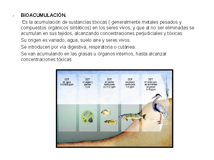 - BIOACUMULACIÓN. Es la acumulación de sustancias tóxicas ( generalmente metales pesados y compuestos