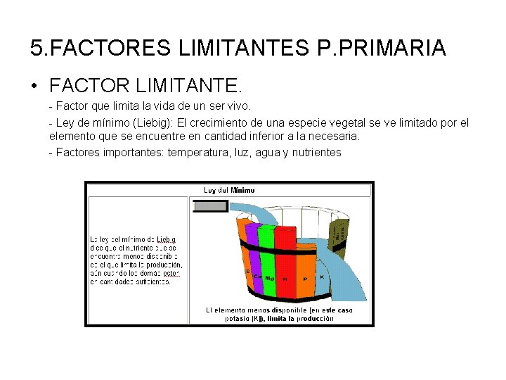 5. FACTORES LIMITANTES P. PRIMARIA • FACTOR LIMITANTE. - Factor que limita la vida