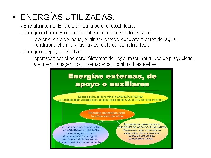  • ENERGÍAS UTILIZADAS. - Energía interna; Energía utilizada para la fotosíntesis. - Energía