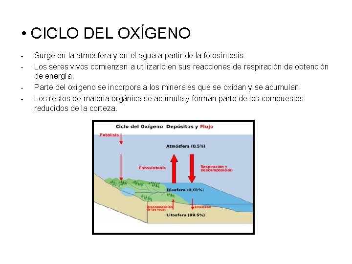  • CICLO DEL OXÍGENO - Surge en la atmósfera y en el agua