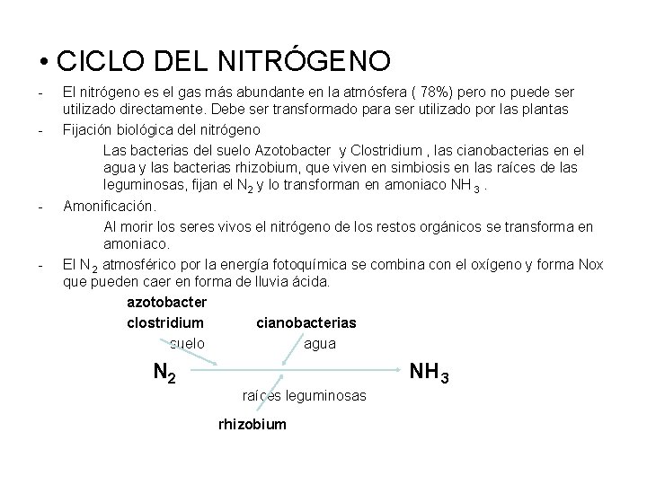  • CICLO DEL NITRÓGENO - - - El nitrógeno es el gas más