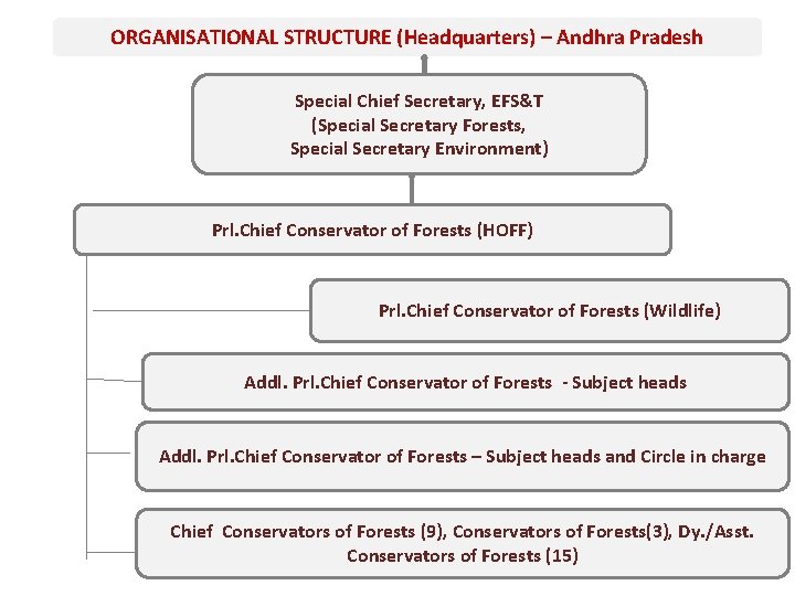 ORGANISATIONAL STRUCTURE (Headquarters) – Andhra Pradesh Special Chief Secretary, EFS&T (Special Secretary Forests, Special ORGANISATIONAL STRUCTURE (Headquarters) – Andhra Pradesh Special Chief Secretary, EFS&T (Special Secretary Forests, Special