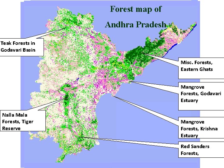 Forest map of Andhra Pradesh Teak Forests in Godavari Basin Misc. Forests, Eastern Ghats Forest map of Andhra Pradesh Teak Forests in Godavari Basin Misc. Forests, Eastern Ghats