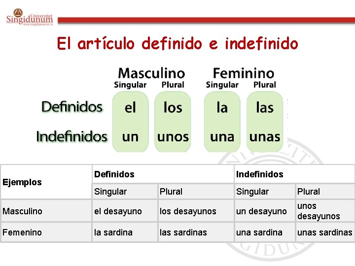 El artículo definido e indefinido Ejemplos Definidos Indefinidos Singular Plural Masculino el desayuno los El artículo definido e indefinido Ejemplos Definidos Indefinidos Singular Plural Masculino el desayuno los