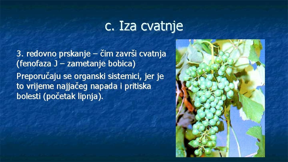 c. Iza cvatnje 3. redovno prskanje – čim završi cvatnja (fenofaza J – zametanje