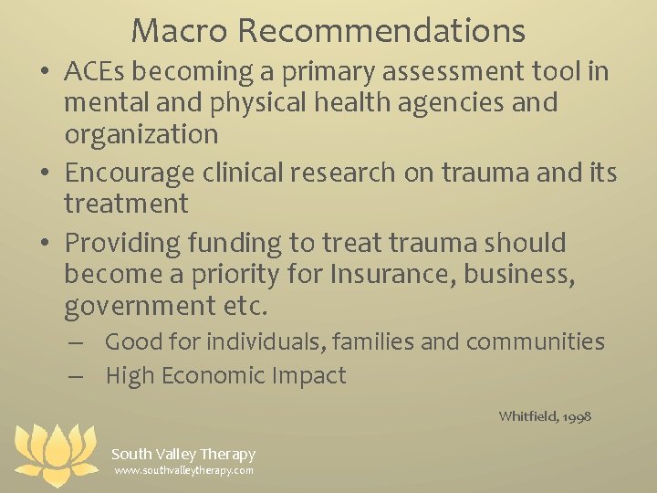 Macro Recommendations • ACEs becoming a primary assessment tool in mental and physical health