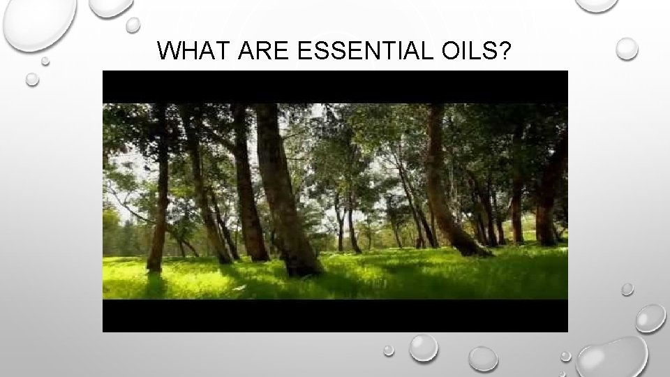 WHAT ARE ESSENTIAL OILS? 