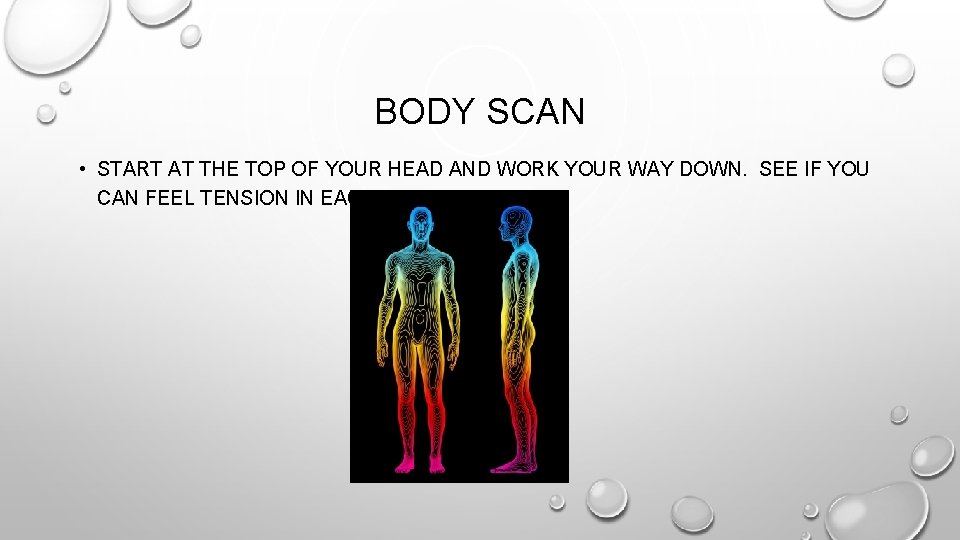 BODY SCAN • START AT THE TOP OF YOUR HEAD AND WORK YOUR WAY