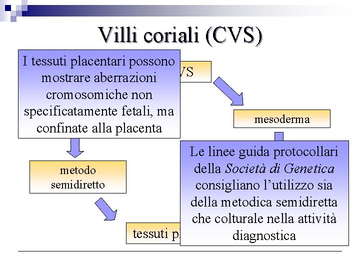 Villi coriali (CVS) I tessuti placentari possono mostrare aberrazioni CVS cromosomiche non specificatamente fetali,