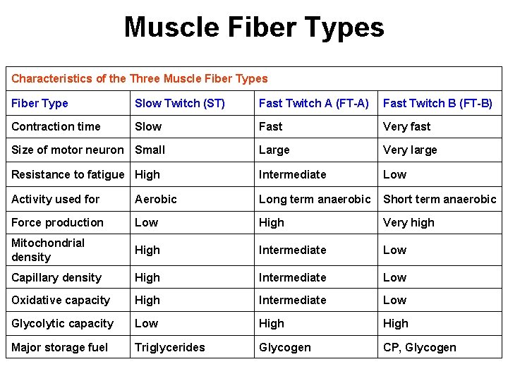 Muscle Fiber Types Characteristics of the Three Muscle Fiber Types Fiber Type Slow Twitch