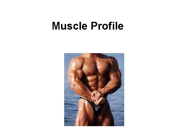 Muscle Profile 