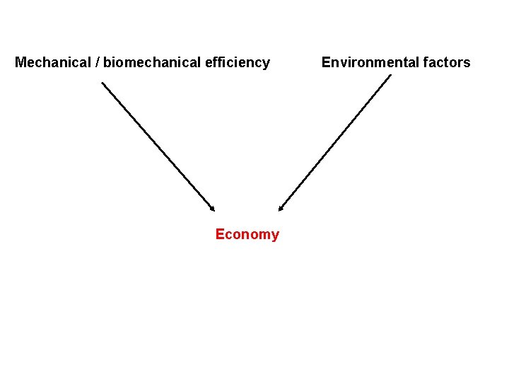 Mechanical / biomechanical efficiency Economy Environmental factors 