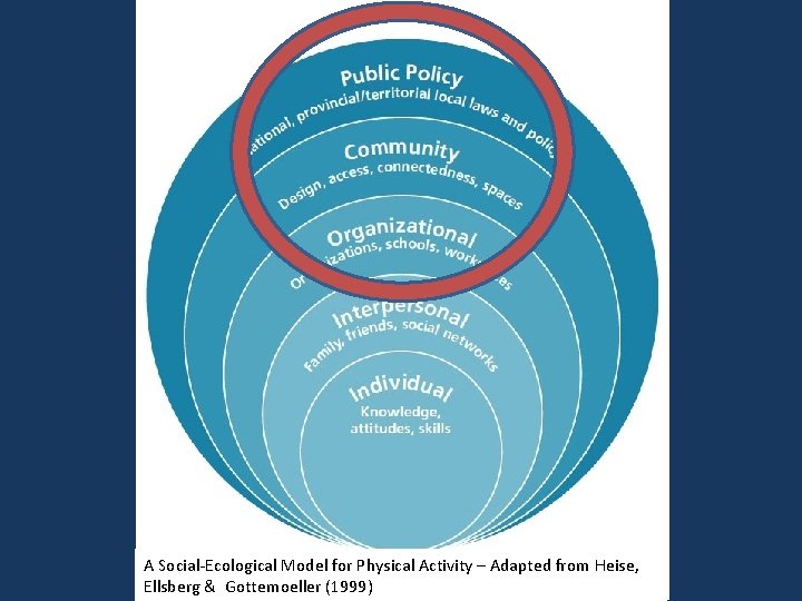 A Social-Ecological Model for Physical Activity – Adapted from Heise, Ellsberg & Gottemoeller (1999)