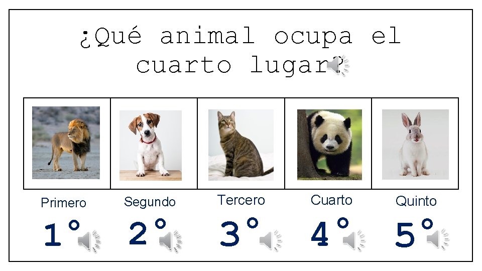 ¿Qué animal ocupa el cuarto lugar? Primero Segundo Tercero Cuarto 1° 2° 3° 4°
