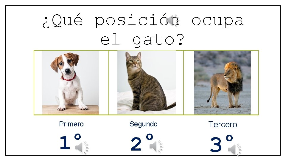 ¿Qué posición ocupa el gato? Primero Segundo Tercero 1° 2° 3° 