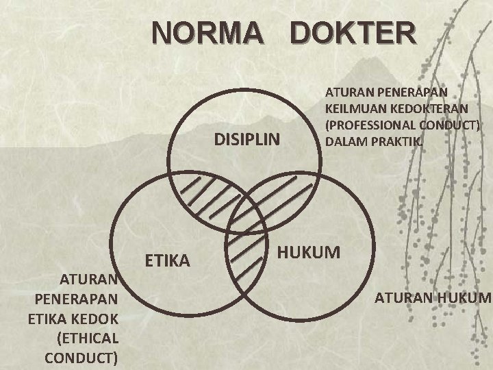NORMA DOKTER DISIPLIN ATURAN PENERAPAN ETIKA KEDOK (ETHICAL CONDUCT) ETIKA ATURAN PENERAPAN KEILMUAN KEDOKTERAN NORMA DOKTER DISIPLIN ATURAN PENERAPAN ETIKA KEDOK (ETHICAL CONDUCT) ETIKA ATURAN PENERAPAN KEILMUAN KEDOKTERAN