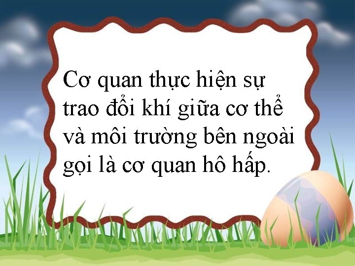 Cơ quan thực hiện sự trao đổi khí giữa cơ thể và môi trường