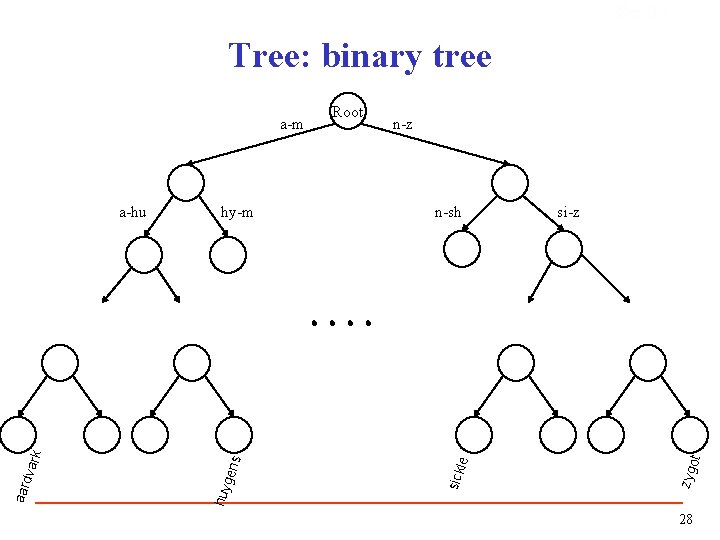 Sec. 3. 1 Tree: binary tree n-z si-z ot n-sh zyg gen s hy-m