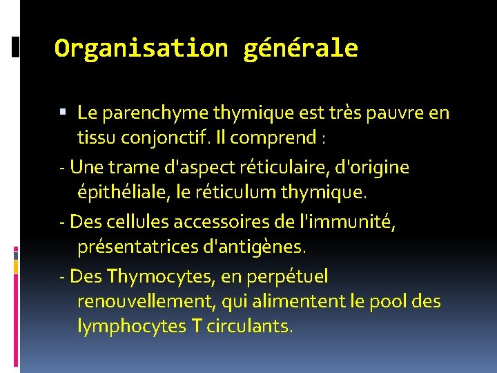 Organisation générale Le parenchyme thymique est très pauvre en tissu conjonctif. Il comprend : Organisation générale Le parenchyme thymique est très pauvre en tissu conjonctif. Il comprend :