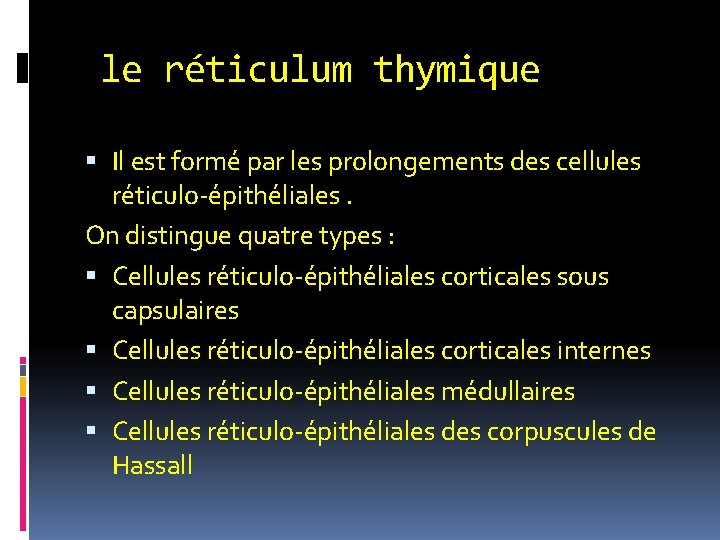 le réticulum thymique Il est formé par les prolongements des cellules réticulo-épithéliales. On distingue le réticulum thymique Il est formé par les prolongements des cellules réticulo-épithéliales. On distingue