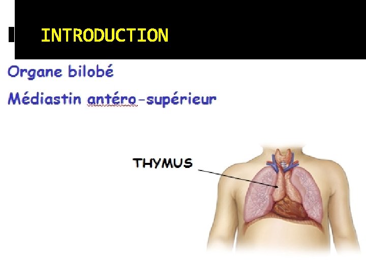 INTRODUCTION INTRODUCTION