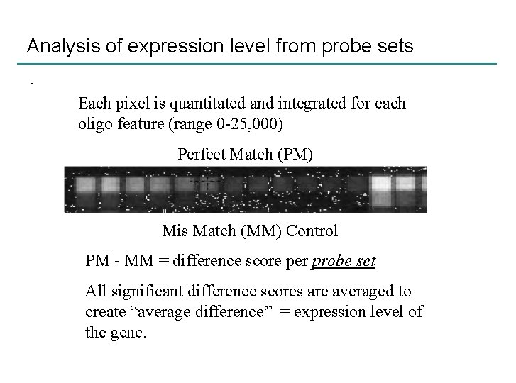 Analysis of expression level from probe sets. Each pixel is quantitated and integrated for