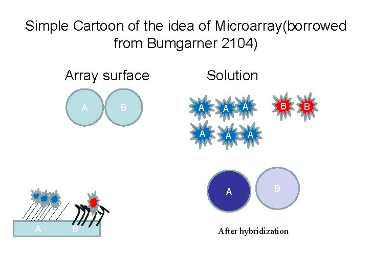 Simple Cartoon of the idea of Microarray(borrowed from Bumgarner 2104) Array surface A B