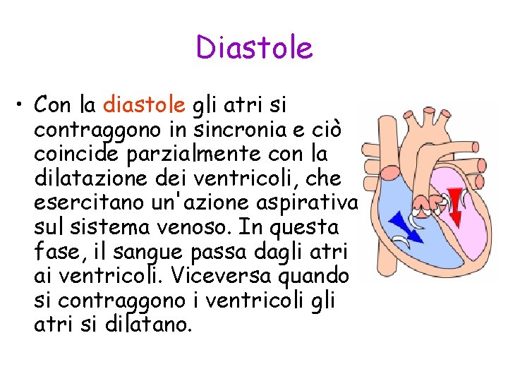 Diastole • Con la diastole gli atri si contraggono in sincronia e ciò coincide
