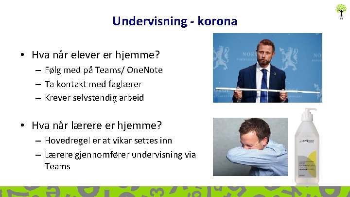 Undervisning - korona • Hva når elever er hjemme? – Følg med på Teams/