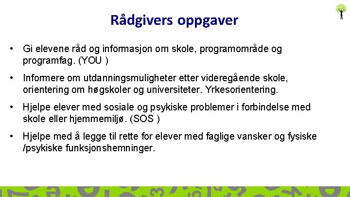 Rådgivers oppgaver • Gi elevene råd og informasjon om skole, programområde og programfag. (YOU