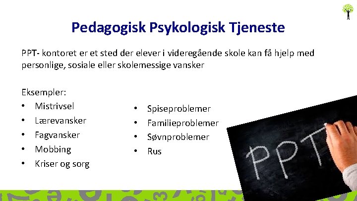 Pedagogisk Psykologisk Tjeneste PPT- kontoret er et sted der elever i videregående skole kan